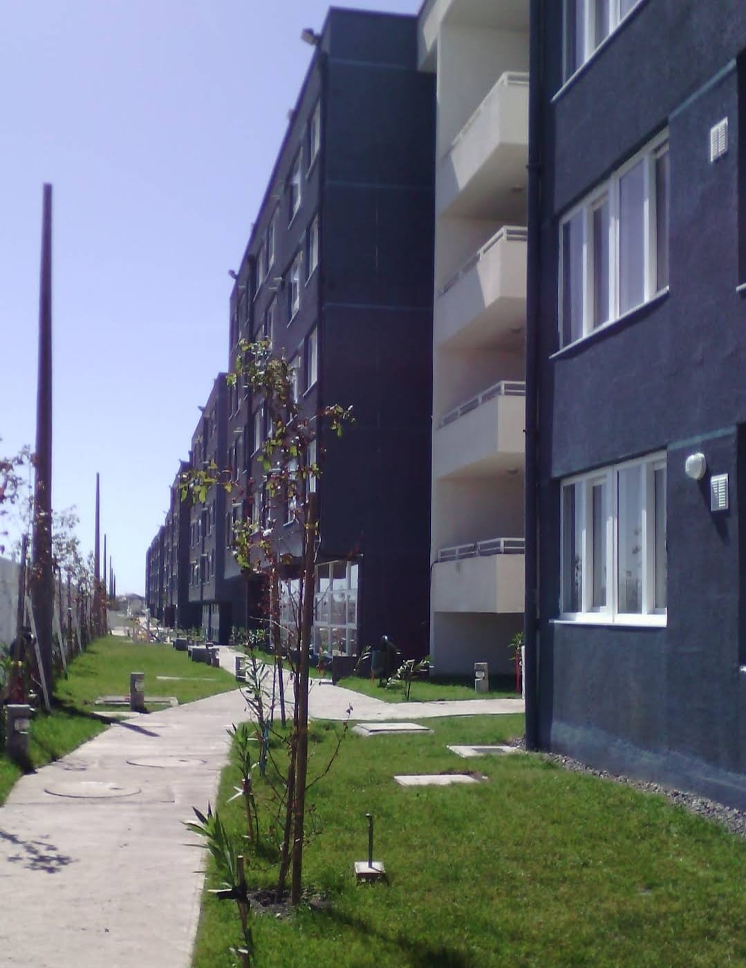 DEPARTAMENTO SAN PEDRO DE LA PAZ, CONCEPCION